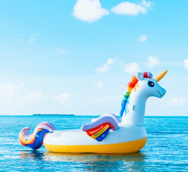 Inflatable Unicorn in the sea